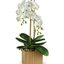 Get Flowers Delivered Branf... - Florist in Branford