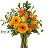 Get Well Flowers Branford CT - Florist in Branford