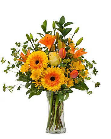 Get Well Flowers Branford CT Florist in Branford