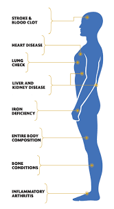 How Test Bodz Works ? Picture Box