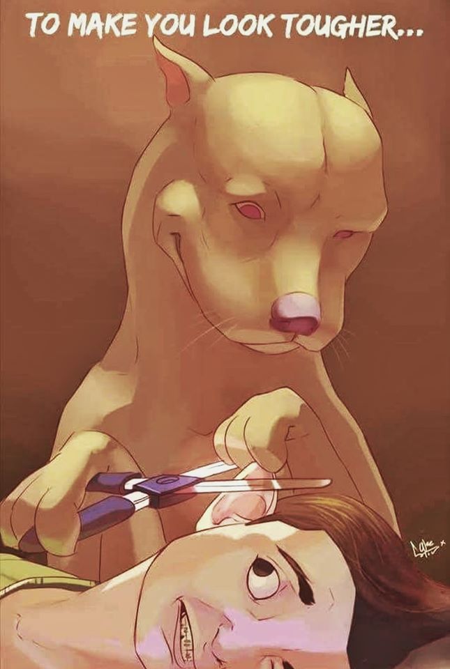 74595281 10218609684386118 2308562960462643200 o - 