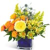 Same Day Flower Delivery Al... - Flower Delivery in Albuquerque