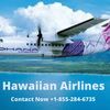 Get The Best Deal On Hawaii... - Airlines Policy