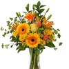 Flower Delivery in Albuquer... - Flower Delivery in Albuquer...