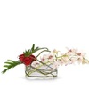 Christmas Flowers Albuquerq... - Flower Delivery in Albuquer...