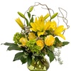 Fresh Flower Delivery Toled... - Flower Delivery in Toledo OH
