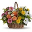 Same Day Flower Delivery Al... - Florist in Albuquerque, NM