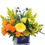 Flower Delivery Albuquerque NM - Florist in Albuquerque, NM