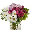 Fresh Flower Delivery Durha... - Flower Delivery in Durham, NC