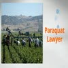Paraquat Lawyer - Picture Box