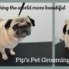 Pips Pet Grooming - Picture Box