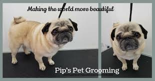 Pips Pet Grooming Picture Box
