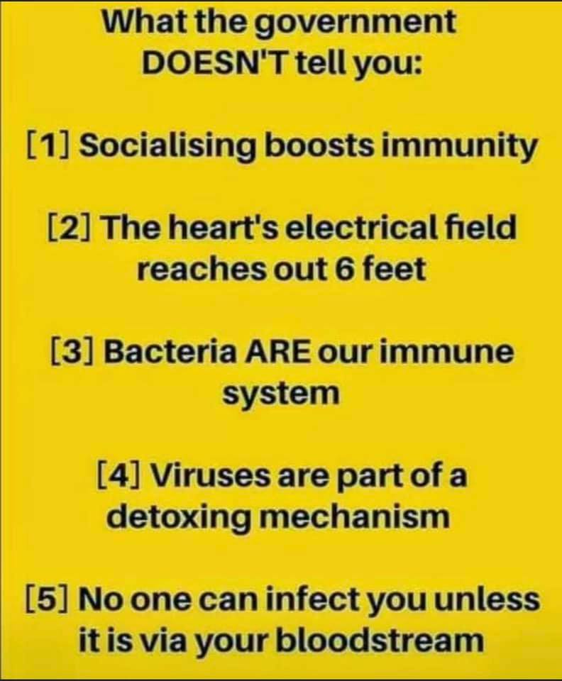 116401520 3172417579461060 3121545072794801481 n - 