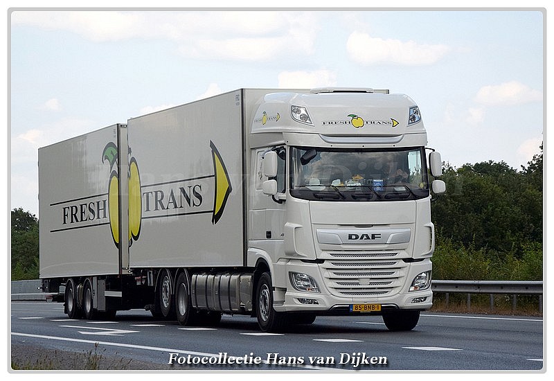 Fresh Trans 85-BNB-1-BorderMaker - 