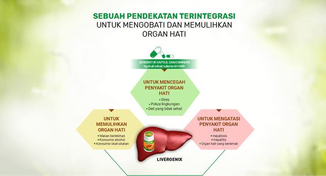 Livergenix Harga Healthy Liver Picture Box