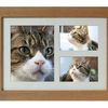 Phoenix Pet Cremations - Picture Box