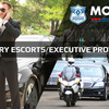 DIGNITARY ESCORTS-EXECUTIVE... - MOSSAD Investigations & Sec...