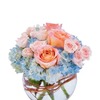 Flower Delivery in Redwood ... - Flowers in Redwood City, CA