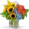 Fresh Flower Delivery Redwo... - Flowers in Redwood City, CA