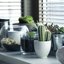 Tips on Choosing a Landscap... - Jimmy's Landscaping Atlanta
