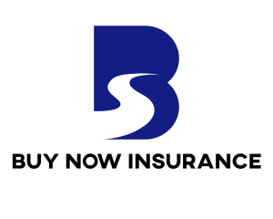 Buy Now Insurance Logo Buy Now Insurance