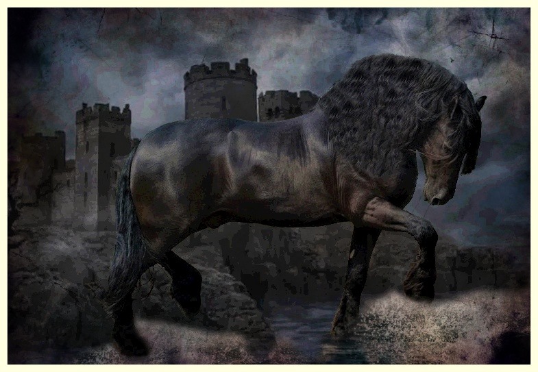 117916772 304456377452788 8352091105890999677 n - 