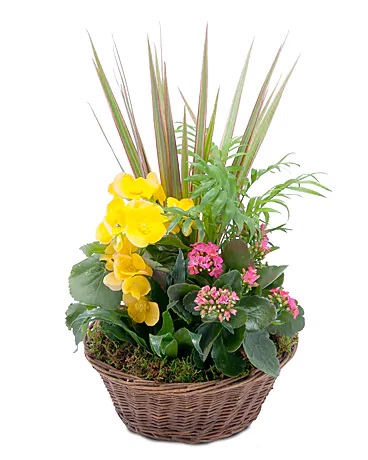 Flower Delivery in Orland Park IL Florist in Tinley Park, IL