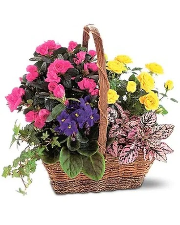 Fresh Flower Delivery Orland Park IL Florist in Tinley Park, IL