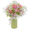 Christmas Flowers Maple Sha... - Florist in Maple Shade Town...