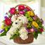 Florist Maple Shade Townshi... - Florist in Maple Shade Township, NJ