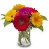 Flower Delivery in Maple Sh... - Florist in Maple Shade Town...