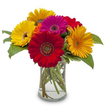 Flower Delivery in Maple Shade Township NJ Florist in Maple Shade Township, NJ