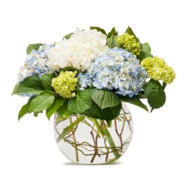 Send Flowers Maple Shade Township NJ Florist in Maple Shade Township, NJ