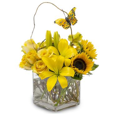 Buy Flowers Maple Shade Township NJ Florist in Maple Shade Township, NJ