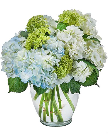 Flower Shop Syosset NY Florist in Syosset, NY