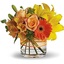 Next Day Delivery Flowers S... - Florist in Syosset, NY