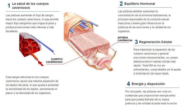Testo 360 Picture Box