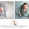 Sugar Plum Photography - Picture Box