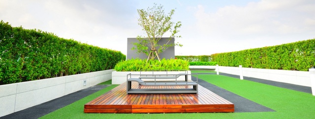 artificial-grass-rooftop Picture Box