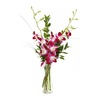 Fresh Flower Delivery St Pa... - Flower Delivery in St