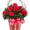 Send Flowers Prospect KY - Florist in Prospect, KY