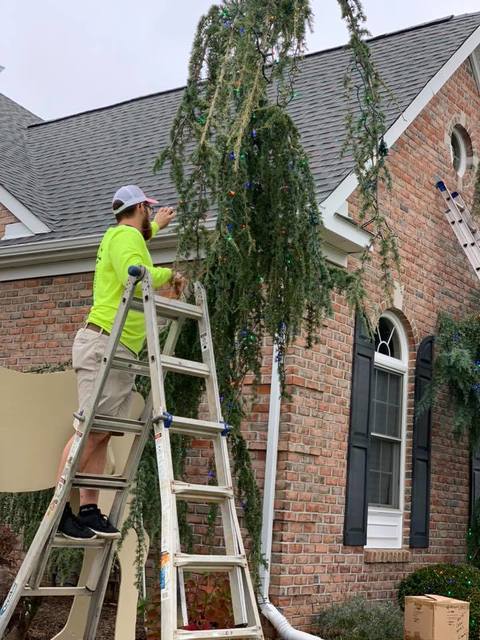 Christmas light contractor Revive Holiday Lighting