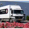 Hoogeveen Plants BF-LB-53 (... - Richard