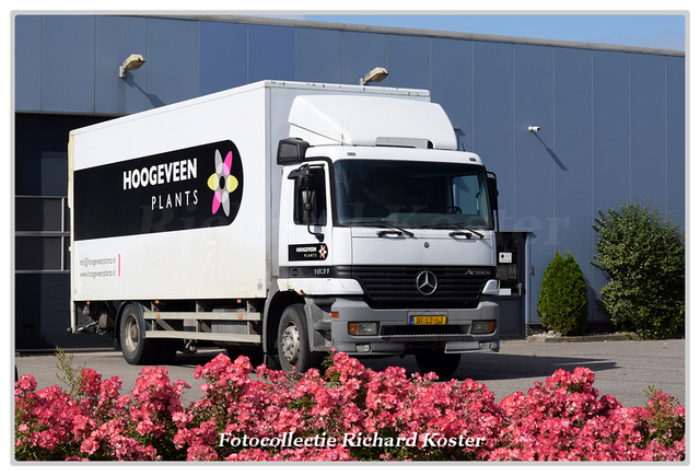 Hoogeveen Plants BF-LB-53 (0)-BorderMaker Richard