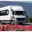 Hoogeveen Plants BF-LB-53 (... - Richard