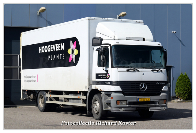 Hoogeveen Plants BF-LB-53 (1)-BorderMaker Richard