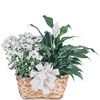 Buy Flowers Hatboro PA - Flower Delivery in Hatboro PA
