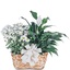 Buy Flowers Hatboro PA - Flower Delivery in Hatboro PA