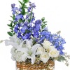 Next Day Delivery Flowers H... - Flower Delivery in Hatboro PA
