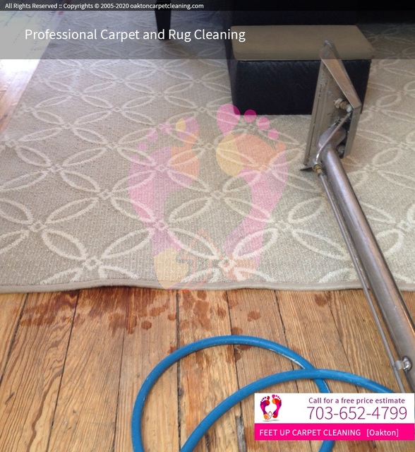 Feet Up Carpet Cleaning Oakton Feet Up Carpet Cleaning Oakton | Carpet Cleaners Oakton